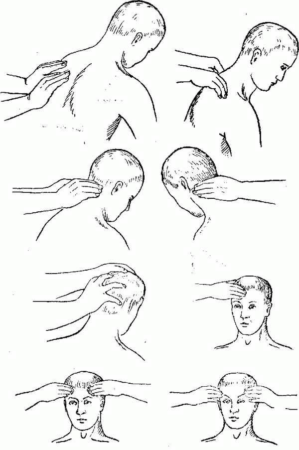 Основные приемы массажа головы (по В. Н. Мошкову)