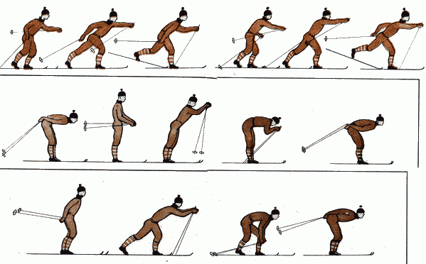Последовательность освоения лыжной техники