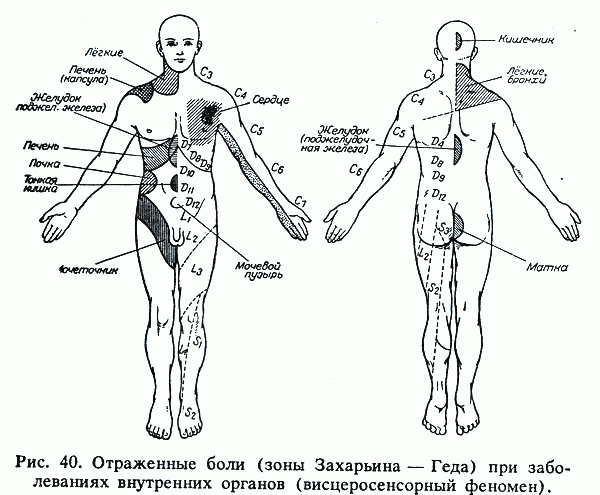 Механизм действия массажа на организм