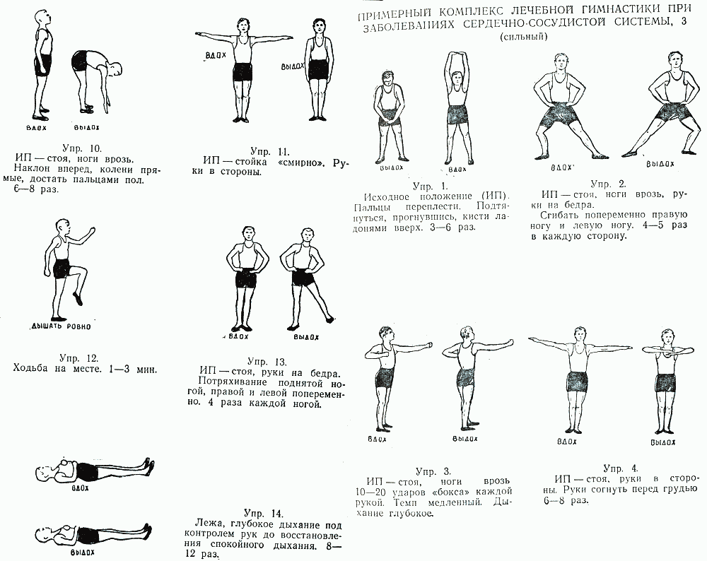 Реферат: ЛЕЧЕБНАЯ ФИЗИЧЕСКАЯ КУЛЬТУРА ПРИ ЗАБОЛЕВАНИЯХ СЕРДЕЧНО-СОСУДИСТОЙ СИСТЕМЫ